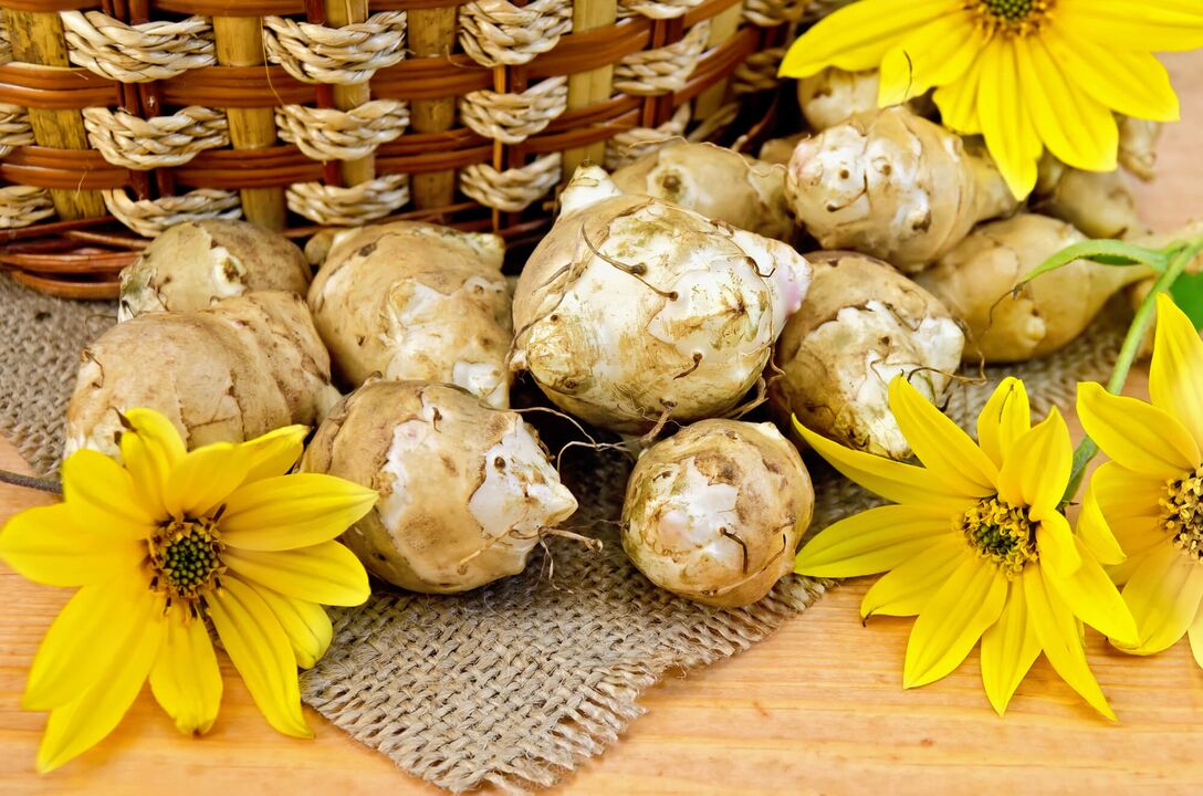 Topinambūrs prostatīta ārstēšanai